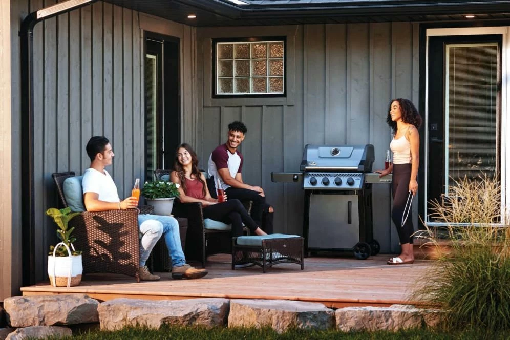 Napoleon Grills Freestyle 425 Gas Grill , Propane, Grey - Image 4