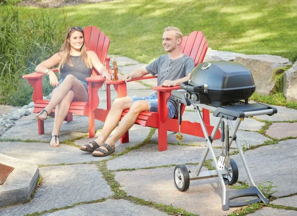 Napoleon Grills TravelQ PRO285X With Scissor Cart , Propane, Black - Image 4